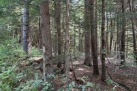 Land for sale in Grafton County, New Hampshire
