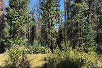 Homesite for sale in Routt County, Colorado