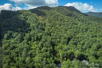 Undeveloped Land for sale in Buncombe County, North Carolina