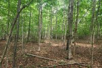 Land for sale in Appomattox County, Virginia