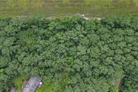 Land for sale in McIntosh County, Georgia