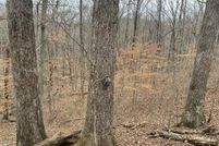 Undeveloped Land for sale in Metcalfe County, Kentucky