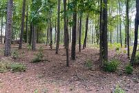 Undeveloped Land for sale in Northampton County, North Carolina