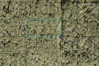 Timberland Property for sale in Flagler County, Florida