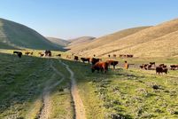 Land for sale in Kern County, California