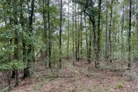Land for sale in Santa Rosa County, Florida