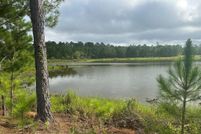 Undeveloped Land for sale in Thomas County, Georgia