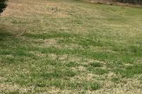 Land for sale in Hart County, Georgia