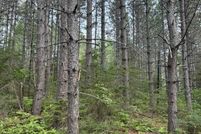 Land for sale in Cook County, Minnesota