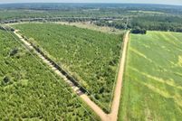 Land for sale in Geneva County, Alabama