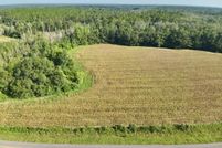 Land for sale in Covington County, Alabama