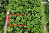 Undeveloped Land for sale in Putnam County, Florida