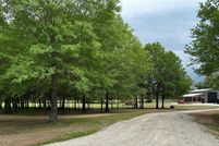 Undeveloped Land for sale in Lamar County, Texas