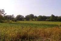 Land for sale in Will County, Illinois