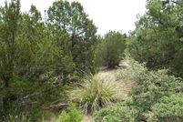Land for sale in Grant County, New Mexico