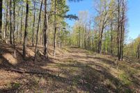 Undeveloped Land for sale in Van Buren County, Arkansas
