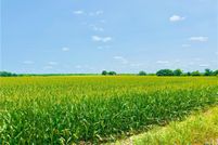 Land for sale in Milam County, Texas