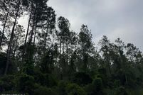 Timberland Property for sale in Flagler County, Florida