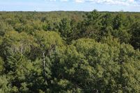 Undeveloped Land for sale in Gladwin County, Michigan