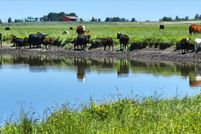 Land for sale in Lassen County, California