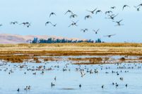 Land for sale in Solano County, California