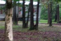 Land for sale in Madison County, Arkansas