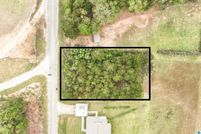 Undeveloped Land for sale in Chilton County, Alabama