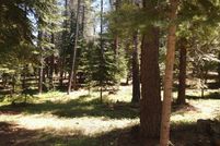 Land for sale in Nevada County, California
