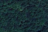 Land for sale in Bradley County, Tennessee