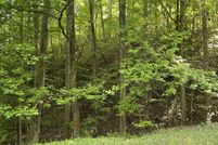 Homesite for sale in Rhea County, Tennessee