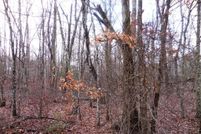 Farm and Ranch for sale in Cumberland County, Tennessee