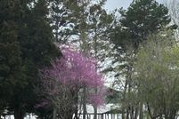 Land for sale in Rhea County, Tennessee