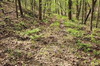 Land for sale in Polk County, Tennessee