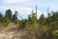 Land for sale in Currituck County, North Carolina