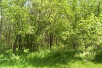 Undeveloped Land for sale in Carroll County, Illinois