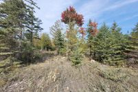 Land for sale in Presque Isle County, Michigan