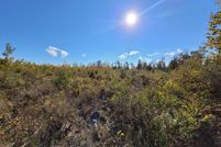Land for sale in Presque Isle County, Michigan