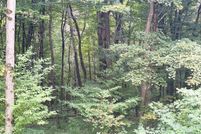 Undeveloped Land for sale in Cattaraugus County, New York
