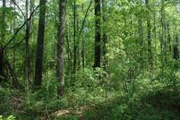 Land for sale in Yalobusha County, Mississippi