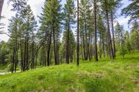 Land for sale in Flathead County, Montana