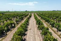 Land for sale in Fresno County, California