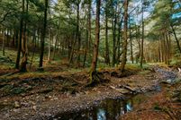 Recreational Property for sale in Delaware County, New York