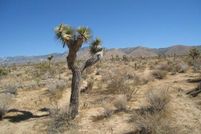 Land for sale in San Bernardino County, California