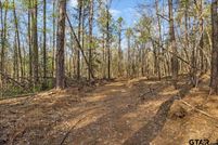 Undeveloped Land for sale in Smith County, Texas