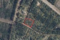 Land for sale in Marion County, South Carolina