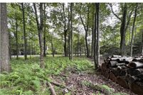 Homesite for sale in Monroe County, Pennsylvania