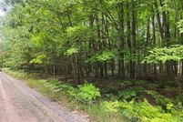 Land for sale in Clare County, Michigan