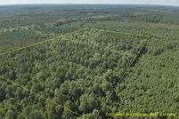 Land for sale in Nevada County, Arkansas