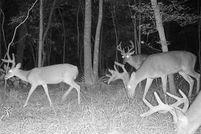 Land for sale in Dougherty County, Georgia