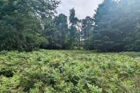 Land for sale in Mason County, Michigan